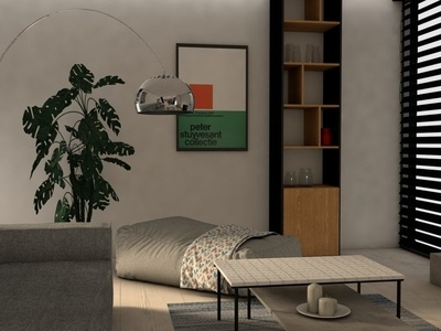 residential house - Living room design 2
