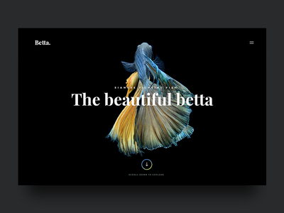 Betta betta dark explore fighting fish gradient serif ui webdesign