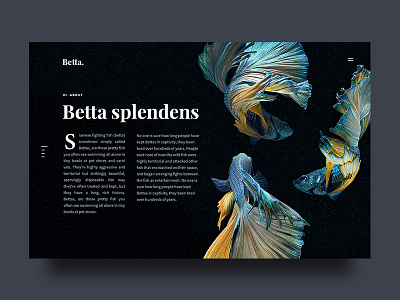 Betta About about betta blue fighting fish landingpage sea serif ui website