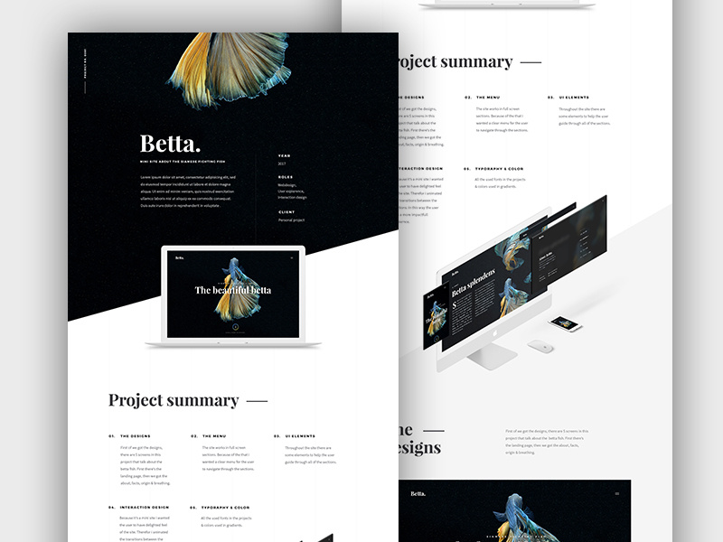 Behance project