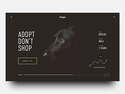 Adopt Don't Shop adopt animal dark dashboard desing dog graph pet stats ui ux web