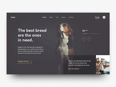 Adopt adopt animal cats design dog shelter ui ux