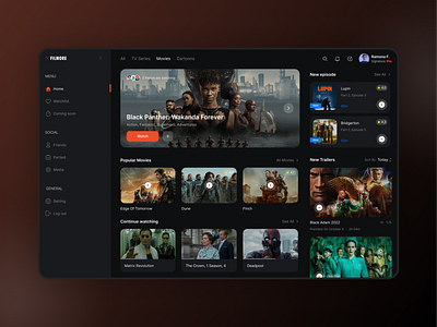 Video Streaming Platform cinema design streaming platform ui video