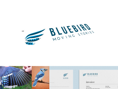 Bluebird Moving Stories | Brand Identity | Personal bird blue brand identity branding creative design feather flat graphic design illustration logo logo design natural unique vector visual identity