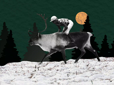 Reindeer advent animation christmas design illustration modern motion design motion graphics reindeer