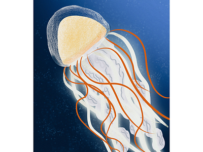 Jellyfish