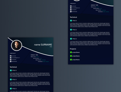 Cv / Resume Template