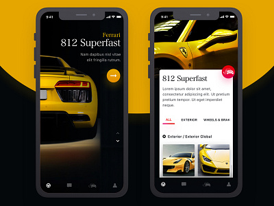 Car app concept