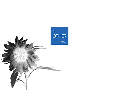 Biosphere | TOF® Artists Series II app branding design icon illustration web website