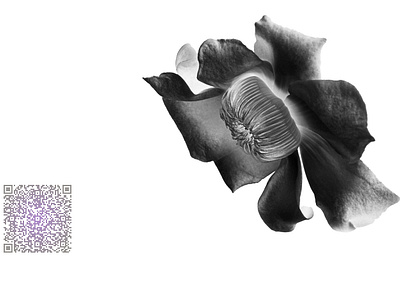 Law & Blockchain abstract abstract art app branding design floral floral art floral design flower illustration logo minimal photo app vector web website