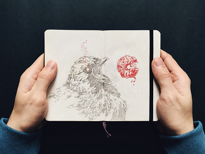 Nestling drawing further up handdrawing illustration ivan belikov moleskine nestling pencil sketch sketchbook