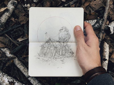Remains bird drawing further up handdrawing illustration ivan belikov moleskine pencil remains sketch sketchbook
