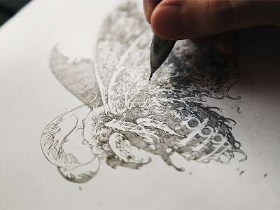 Ink / Sketches 2 behance further up graphic handdrawing illustration ivan belikov moth pencil sketch