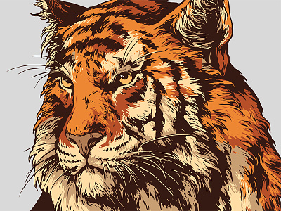 Siberian Character / Amur Tiger amur tiger fur further up graphic illustration ivan belikov siberian character siberian crown
