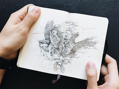 Lazorevka bird feathers further up graphic handdrawing illustration ivan belikov moleskine pencil sketch sketchbook tit
