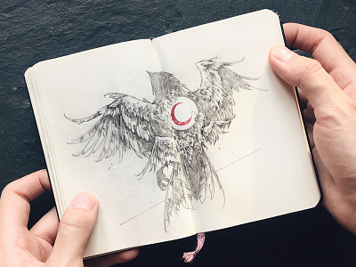 Crescent bird crescent feathers further up graphic handdrawing illustration ivan belikov moleskine pencil sketch sketchbook