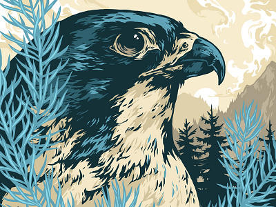 Siberian Crown / Altai Wind altai wind bird falcon further up graphic graphic art illustration ivan belikov peregrine photoshop siberian crown wacom