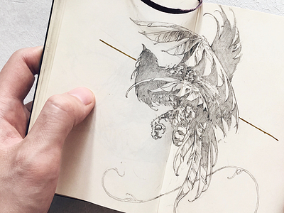 Fairy bird fairy feathers further up illustration ivanbelikov moleskine pencil sketch sketchbook