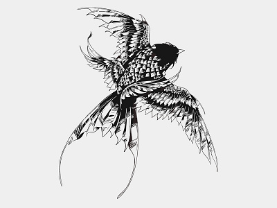 Swallow bird digital art digital ink feathers further up graphic illustration ipadpro ivan belikov procreate swallow