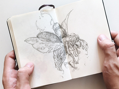 Gravedigger beetle drawing further up graphic gravedigger handdrawing illustration insect ivan belikov moleskine pencil sketch
