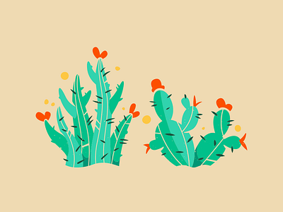 Cacti. cacti cactus corey reifinger desert floral illustration pattern