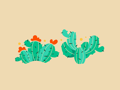 Cactis. cacti cactus corey reifinger desert floral illustration pattern