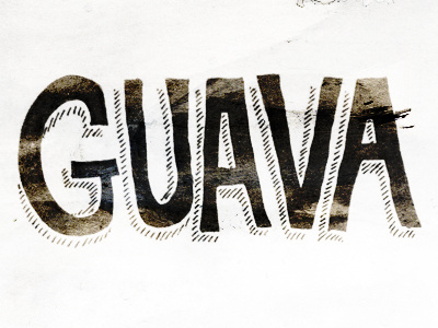 Guava block type fruit guava handwritten hashmarks marker type typography