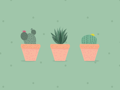 Cacti