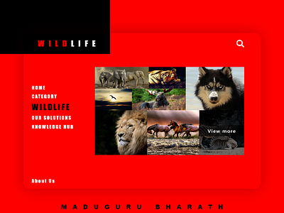 Wildlife Banner banner branding forest search wildlife