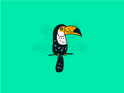 Tucan bird character color design digital green illustration jungle