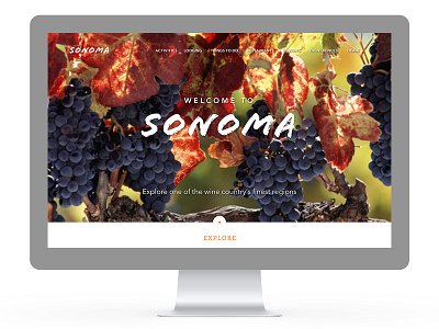 Sonoma Branding branding identity logo website
