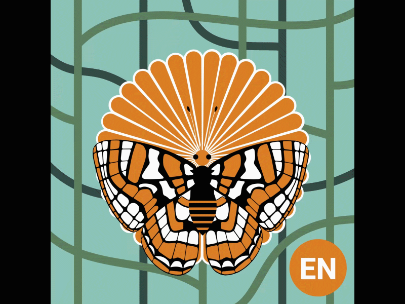 Quino Checkerspot Butterfly (Endangered) aftereffects animal animation butterfly conservation design endangered graphicdesign illustration motiondesign motiongraphics