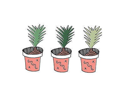 Potted Plants illustration