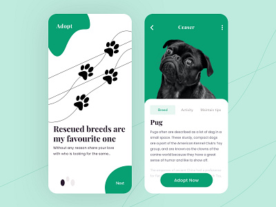 Pet Adoption Mobile Ap animations branding cards cart color cuberto homepage landing page logo minimal mobile mobile app petapp shapes team team logo typogaphy uidesign unfold web