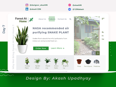 Forest At Home: Y not bring forest at your home...? animation app appdesign behance branding colors design designer dribbble flat graphics graphicsdesign illustration illustrator typography ui uidesign ux uxdesign website