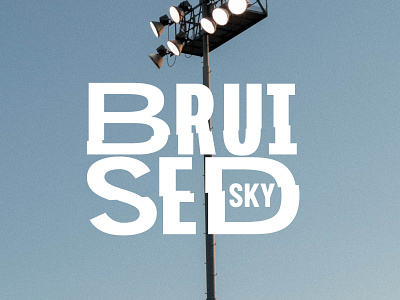 Bruised Sky Logo branding design logo