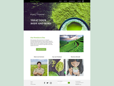 Pure Matcha Landing Page dailyui dailyui 003 graphicdesign landingpage matcha ui uidesign uidesigner