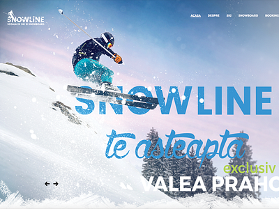 Sonw Line Ski / Snowboard School Romania blue extreme green ski snowboard sports winter