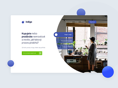Indigo - App Log In branding design flat ui ux web webdesign