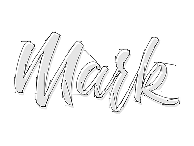 Logo Detail bezier curves brush pen calligraphy design hand drawn hand lettering illustration lettering logo typography