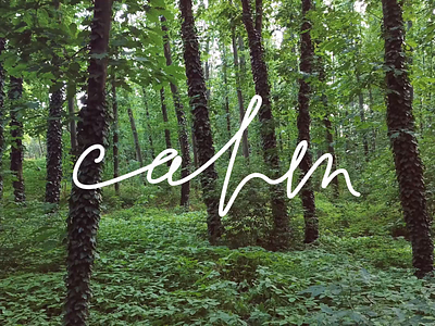 Calm aftereffects animated animation calligraphy calm clen flat forest kinetictype kinetictypography lettering loop minimal type video