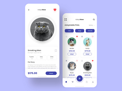 Pet Adoption App Concept