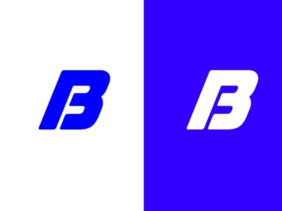 B LOGO COMPANY branding design georgia georgian illustration logo logotype typography ლოგო ქართული