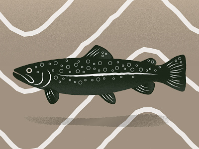 Texas Trout fish fishing illustration illustrator outdoors pattern texture trout vector