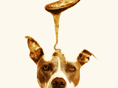 Honey Doggo adobe design doggy honey manipulation monochromatic photoshop