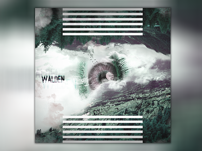 "Walden" - Album Cover Art Concept