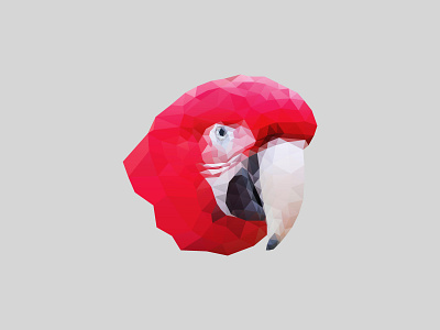 Parrot // Low Poly animal bird brush flat design gradient homepage illustration landing page low poly parrot parrot logo realistic ui ux vector vibe vibrant