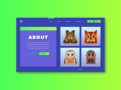 Bird About Us animal app bird branding dashboard flat design gradient homepage icon identity illustration interface landing page layout low poly ui ux vector web design
