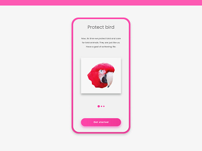 Bird get started UI animal app bird branding dashboard flat design gradient icon identity illustration interface kit landing page layout low poly onboard ui ux vector web
