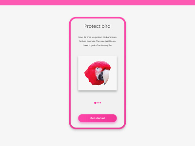 Bird get started UI